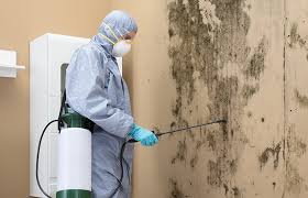 Best Mold Remediation for Healthcare Facilities  in Rosewood Heights, IL